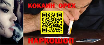 дживик Бийск
